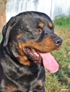 14571988_10206304646368758_84264726_o