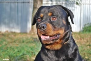 14572023_10206304646248755_1557993744_o