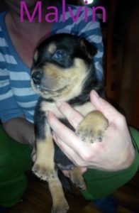 15644634_1363808333629465_1299230048_n